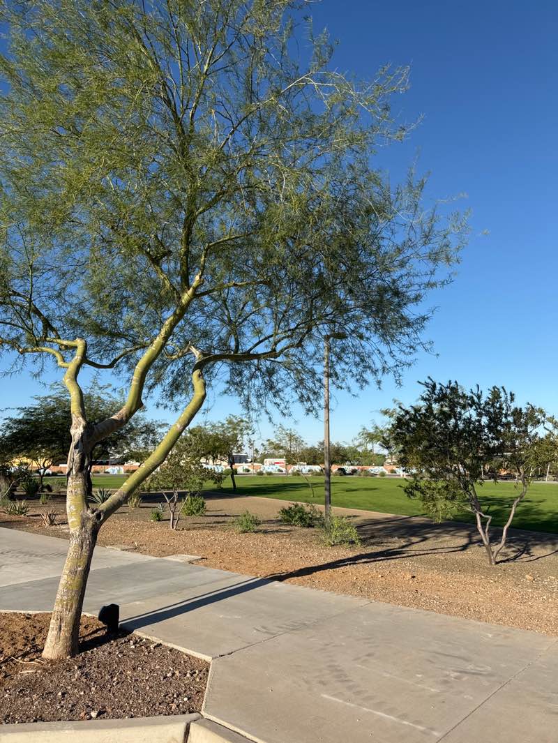 walking near me in Flatiron Community Park in autumn