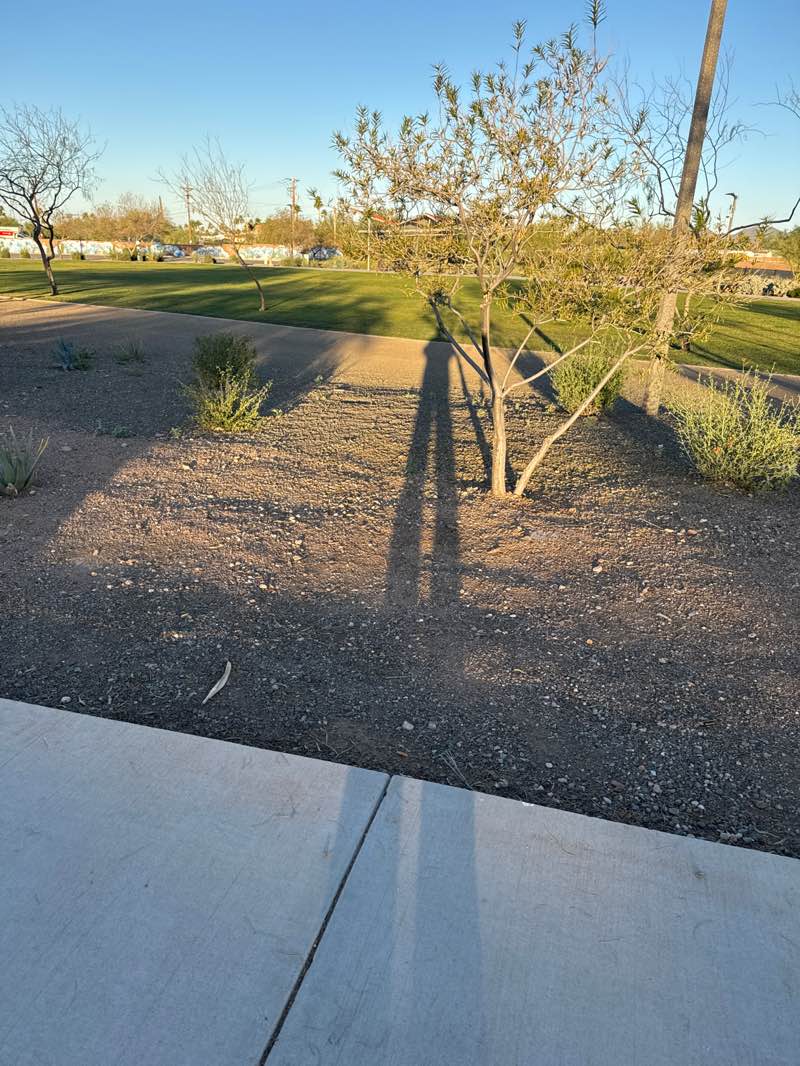 walking near me in Flatiron Community Park in winter