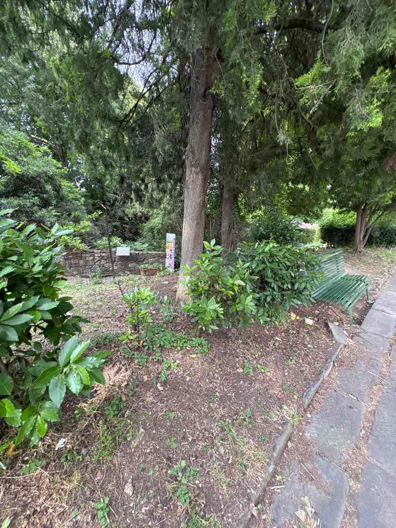 walking near me in Il Giardino Dell'Iris in summer