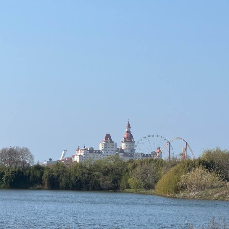 Ananastasia 🍍 post 1