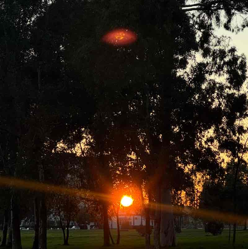 Ananastasia 🍍 post 1