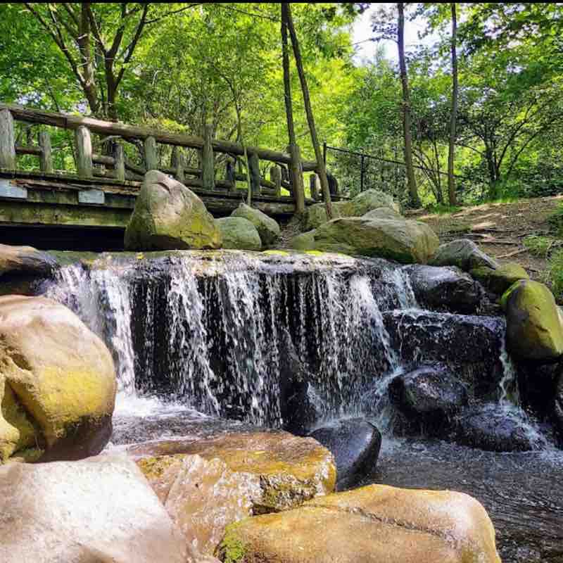 Trust in God 2026 1111 post 1