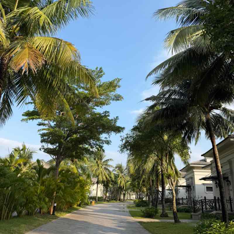 cindy🦘🇦🇺🏃‍♀️ post 3