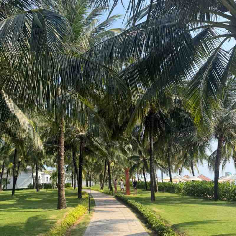 cindy🦘🇦🇺🏃‍♀️ post 1