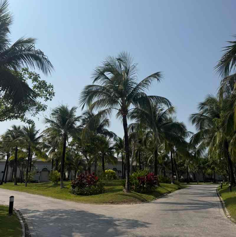 cindy🦘🇦🇺🏃‍♀️ post 2