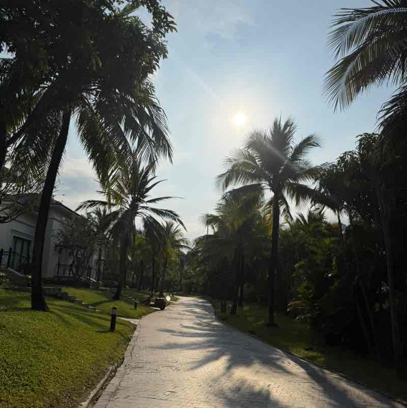 cindy🦘🇦🇺🏃‍♀️ post 1