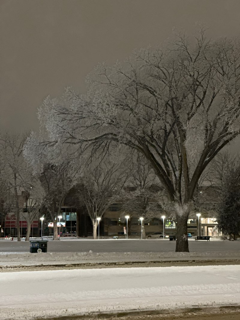 walking near me in Memorial Provincial Park in winter