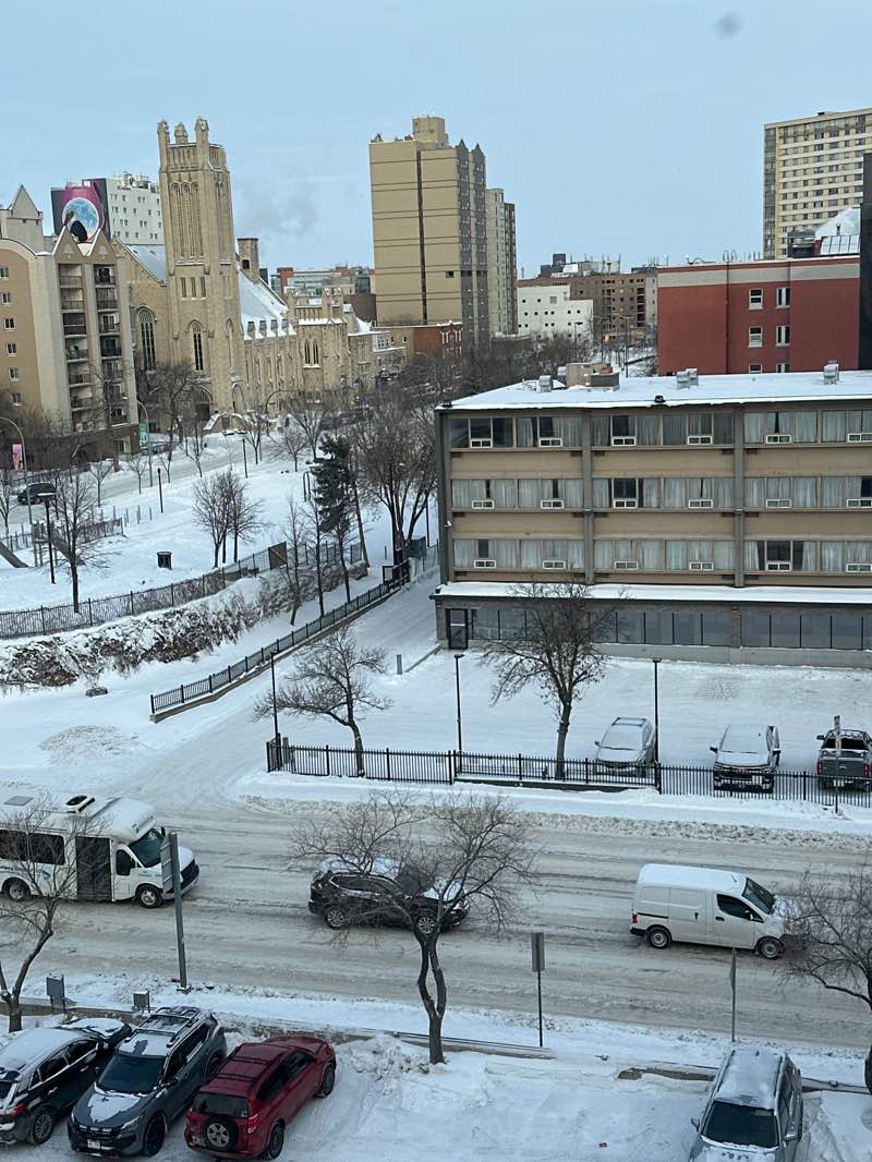 walking near me in Central Park in winter