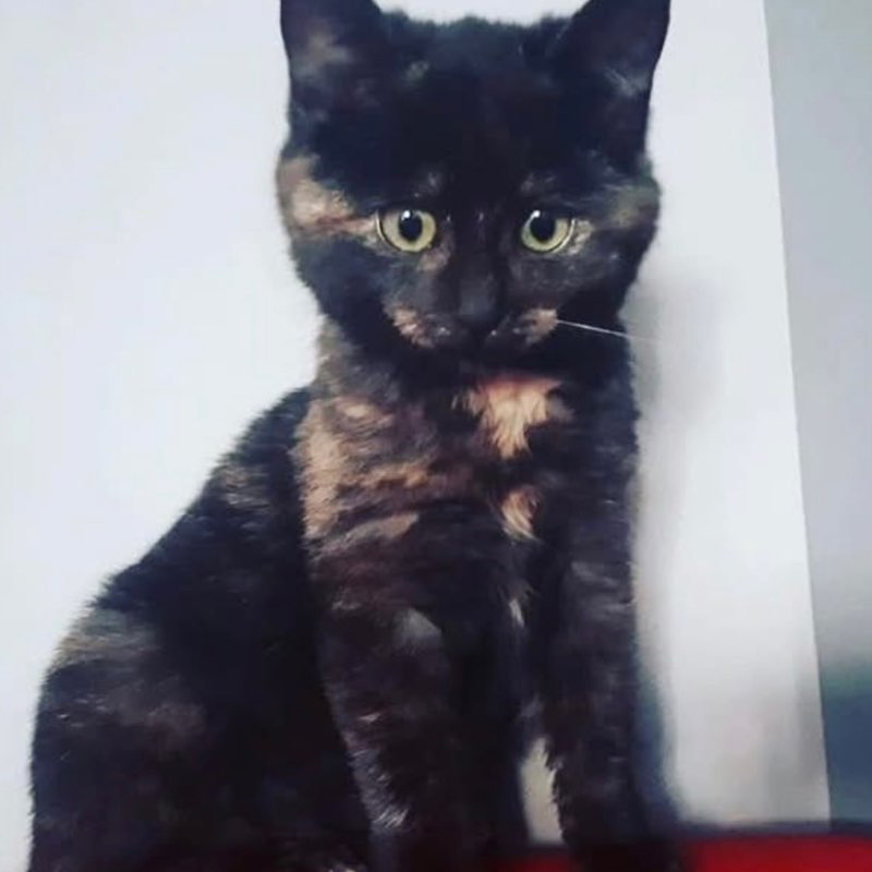 🖤BIG🇮🇹RUNNER🖤 🖤𝔹𝕀𝔾🇮🇹R𝕌NN𝔼R🖤 post image