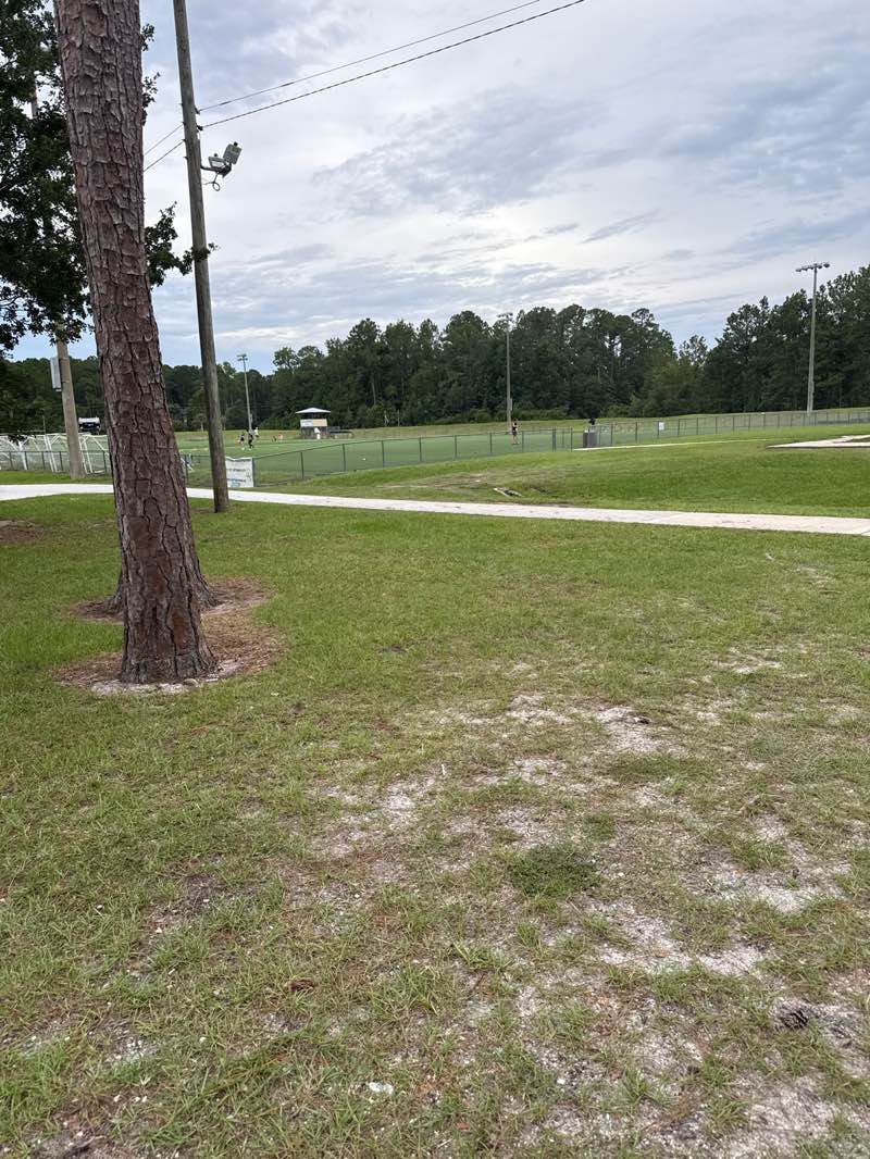 walking near me in Julington Creek Plantation Park in summer