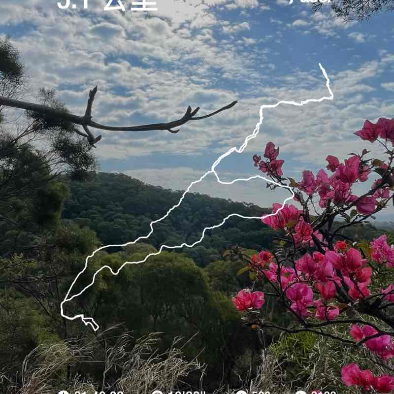 黃金單身漢 post 1