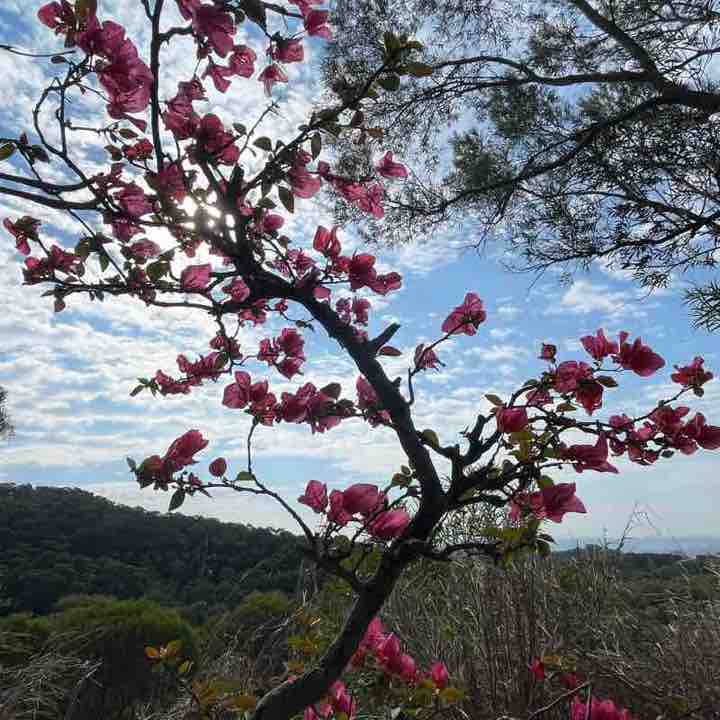 黃金單身漢 post 3