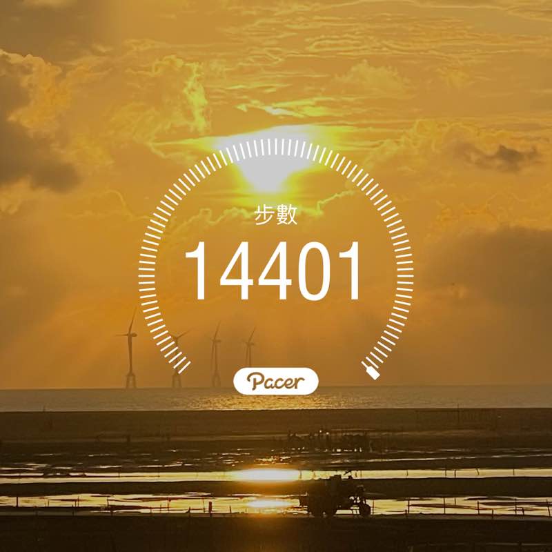 黃金單身漢 post 1