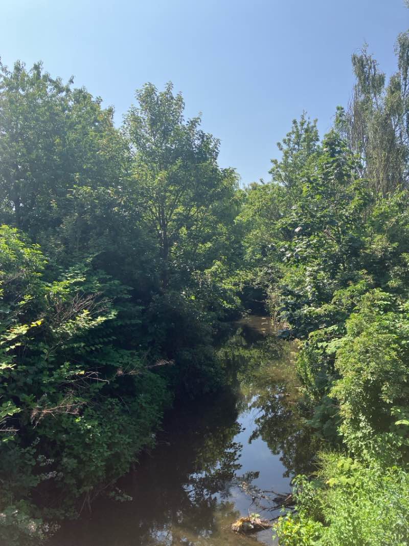 walking near me in George Eliot Memorial Garden in summer