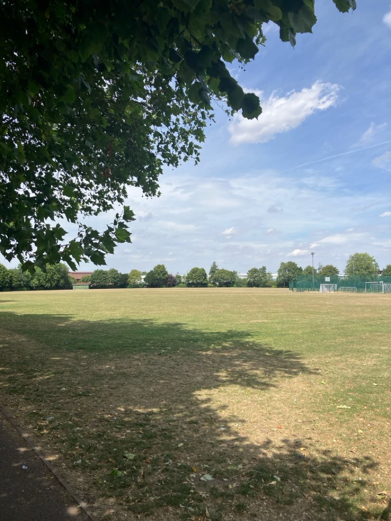 walking near me in Richmond Park in summer