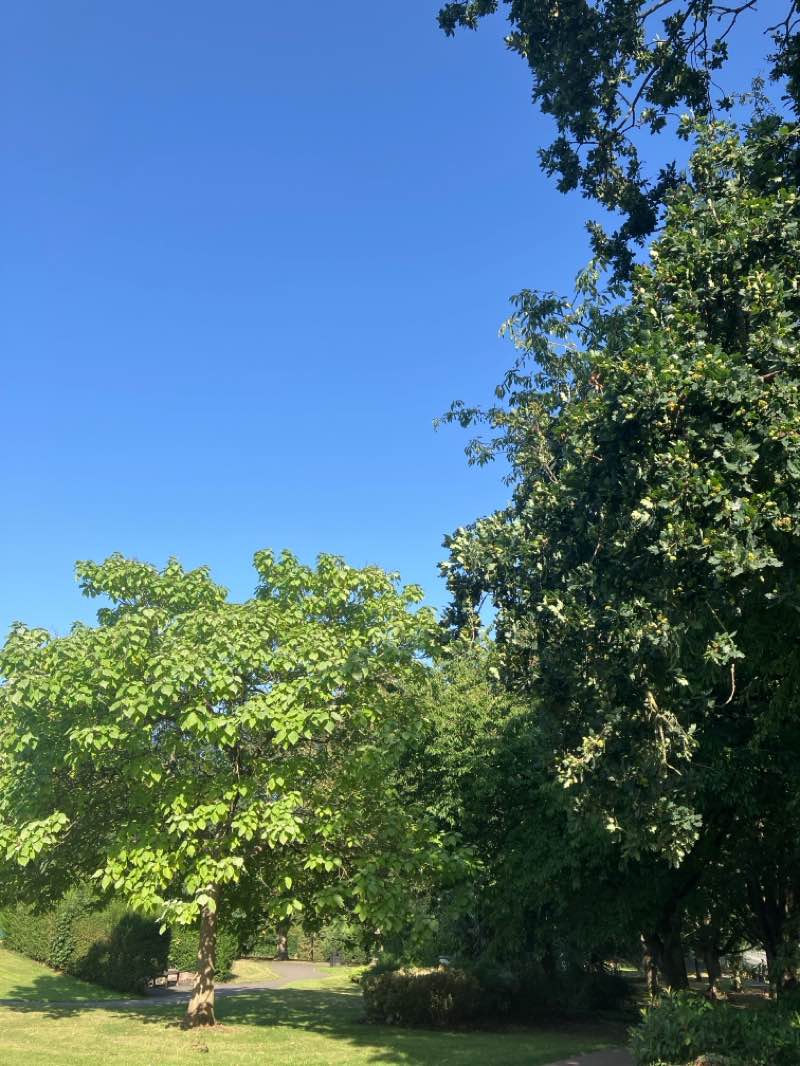 walking near me in Jellicoe Way Park in autumn