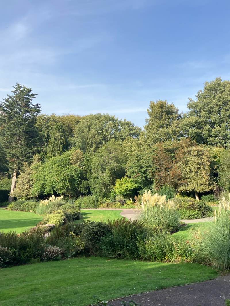 walking near me in Hollycroft Park in autumn