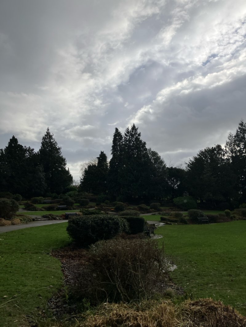 walking near me in Hollycroft Park in winter