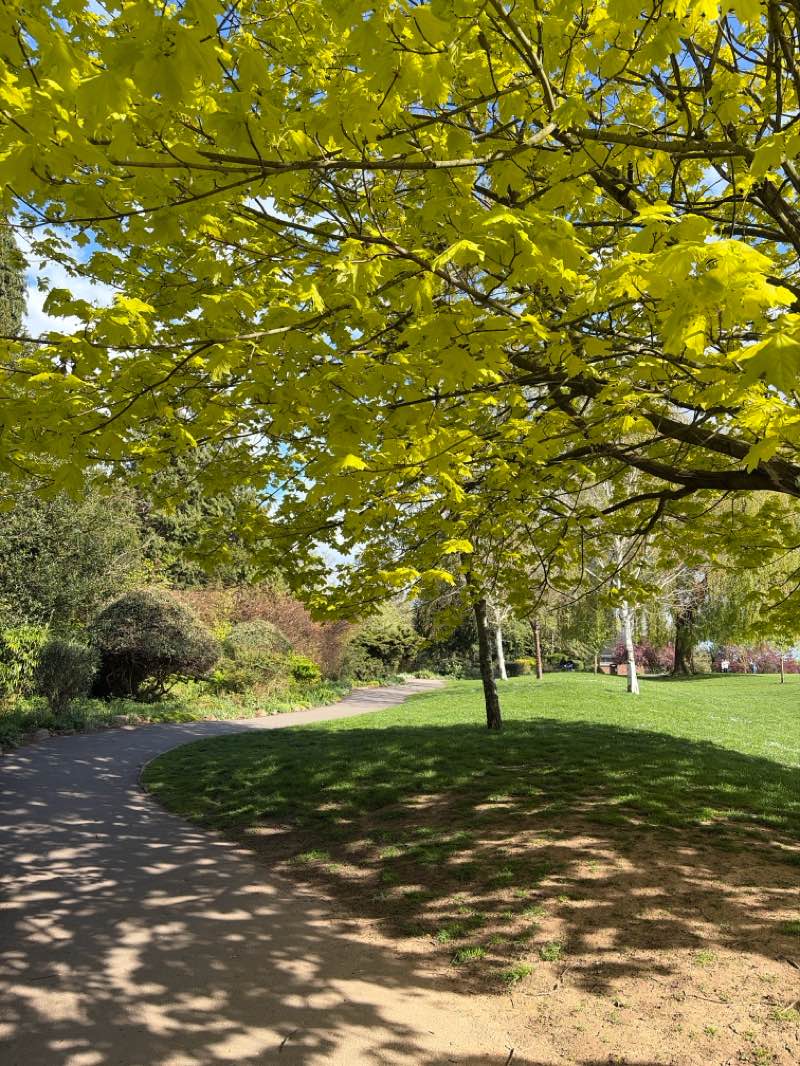 walking near me in Hollycroft Park in spring