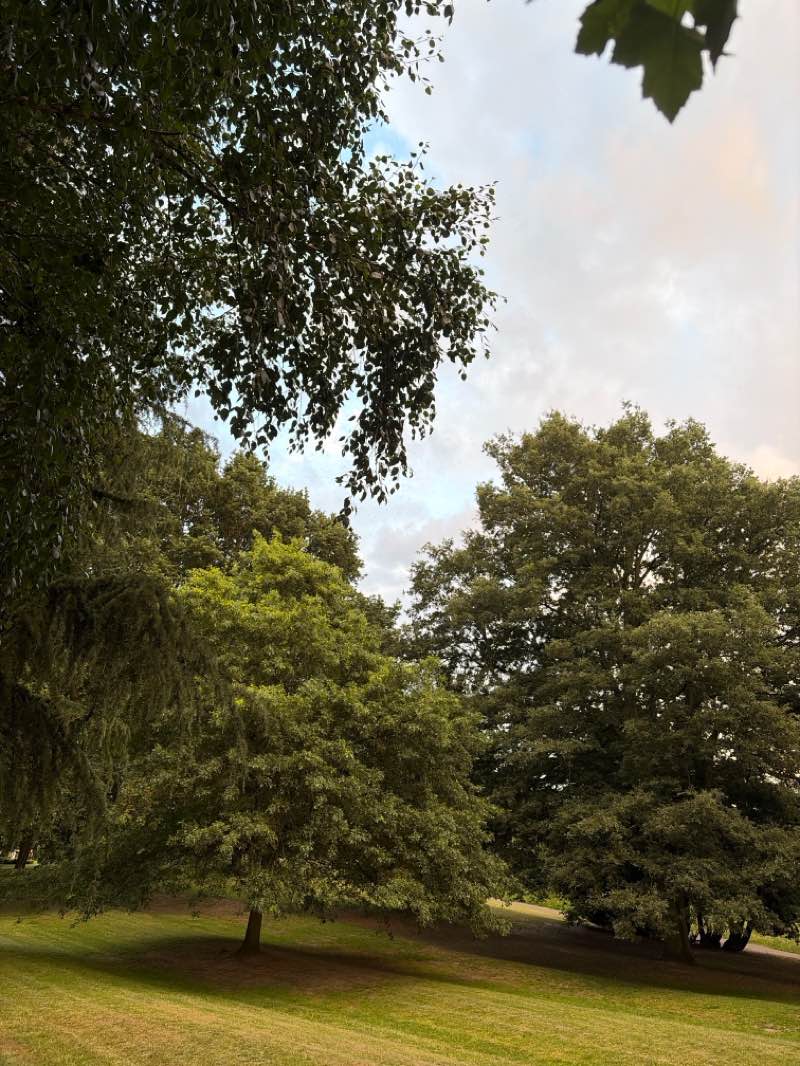 walking near me in Hollycroft Park in summer