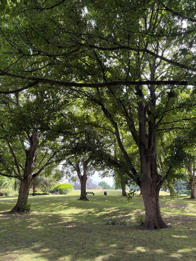 walking near me in Richmond Park in summer