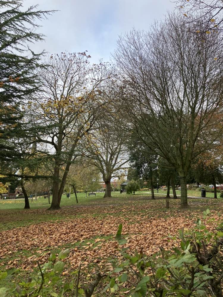 walking near me in Argents Mead in autumn
