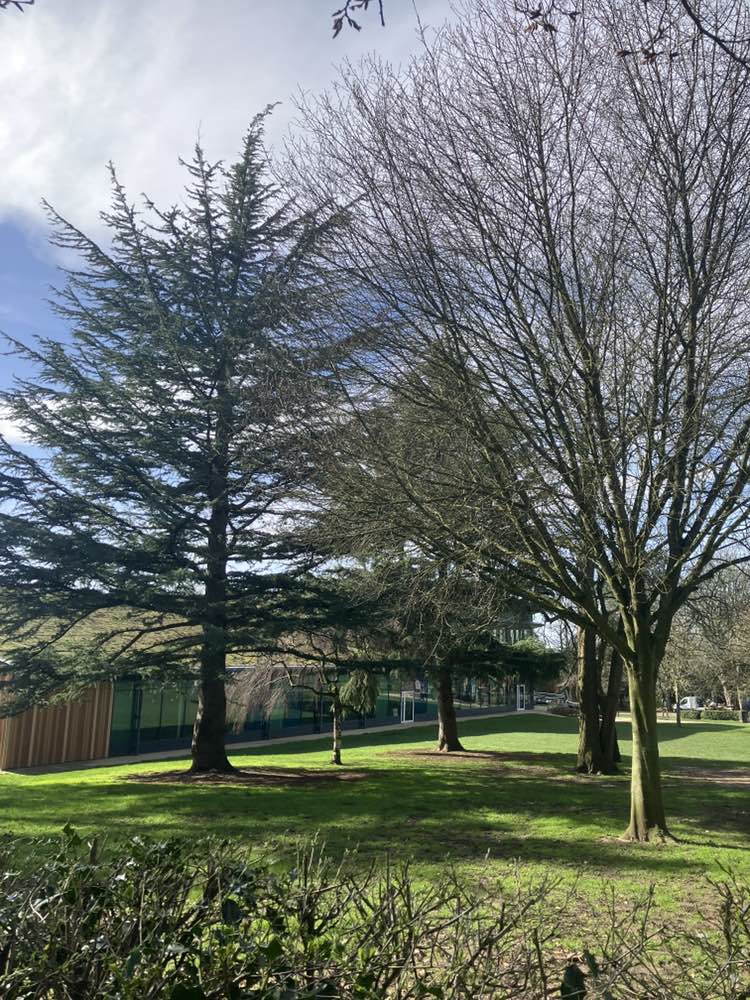 walking near me in Argents Mead in spring