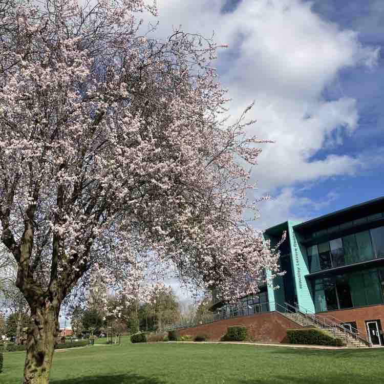 Leicester Shire & Rutland Pacers AndLeics  post image