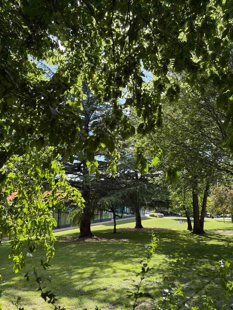 walking near me in Argents Mead in summer