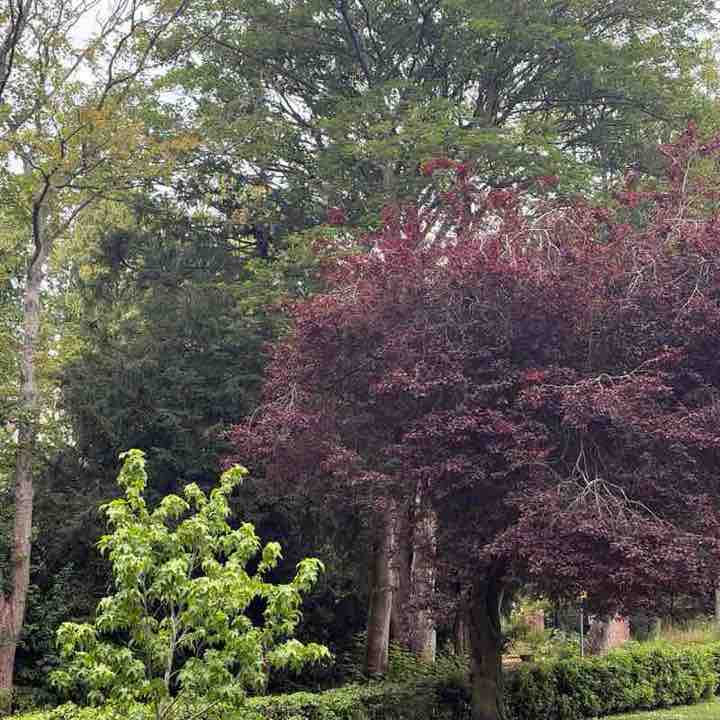 AndLeics  post 1