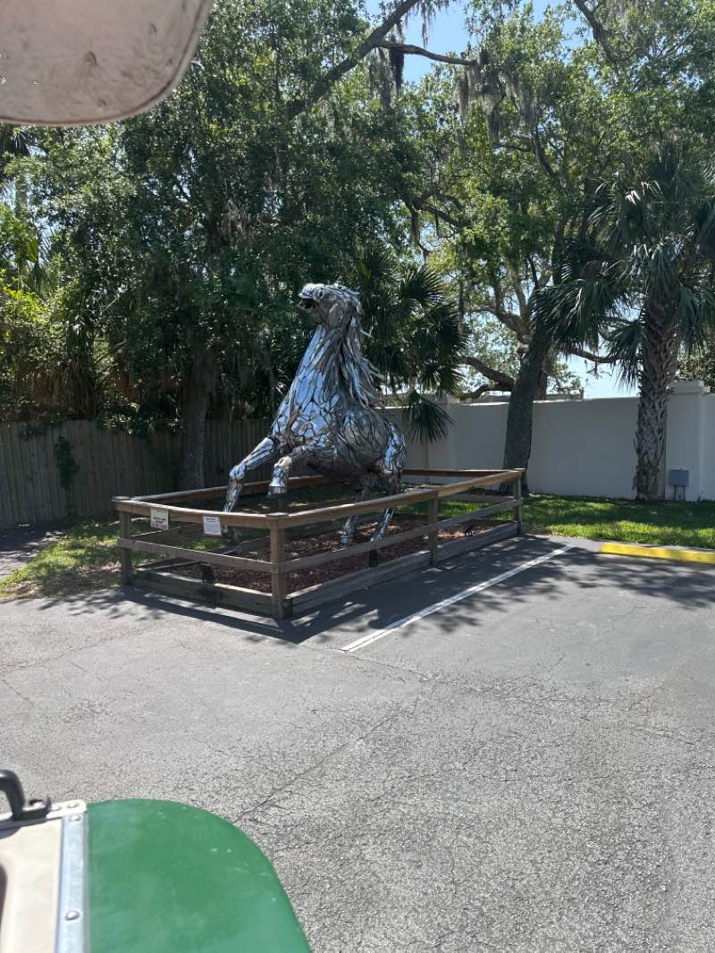 walking near me in Plaza de la Constitución in winter