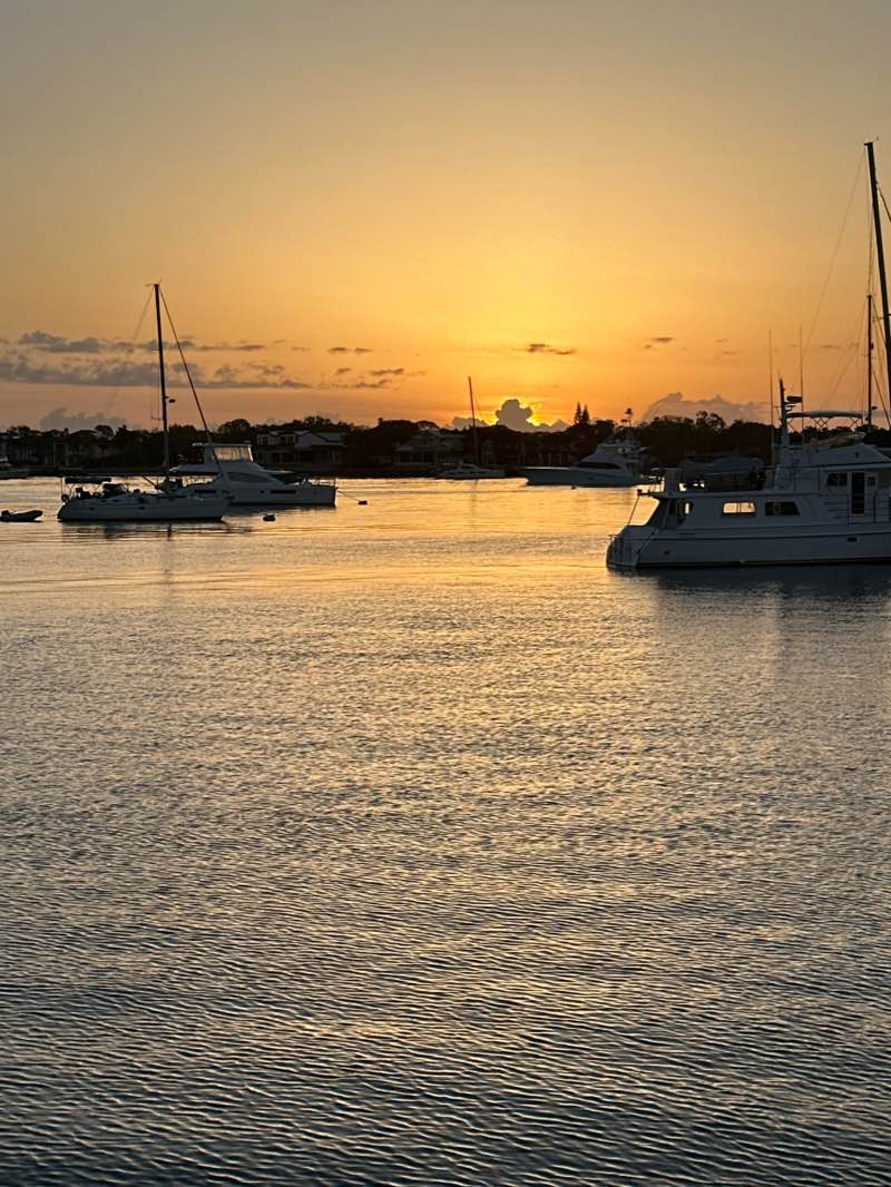 walking near me in Oglethorpe Battery Park in winter