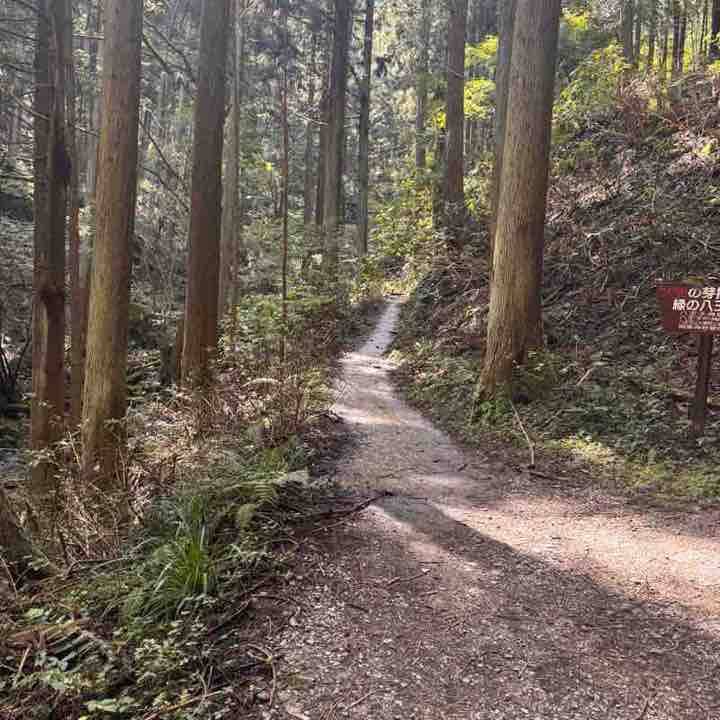 June Distance Challenge hoku post image