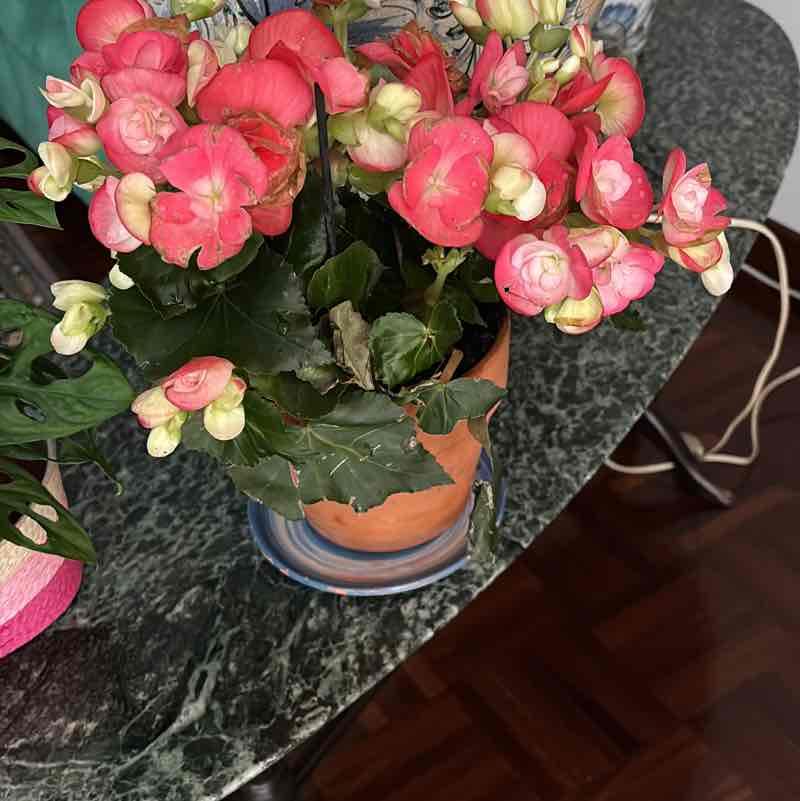 Salvuccio🖤💙 post 1