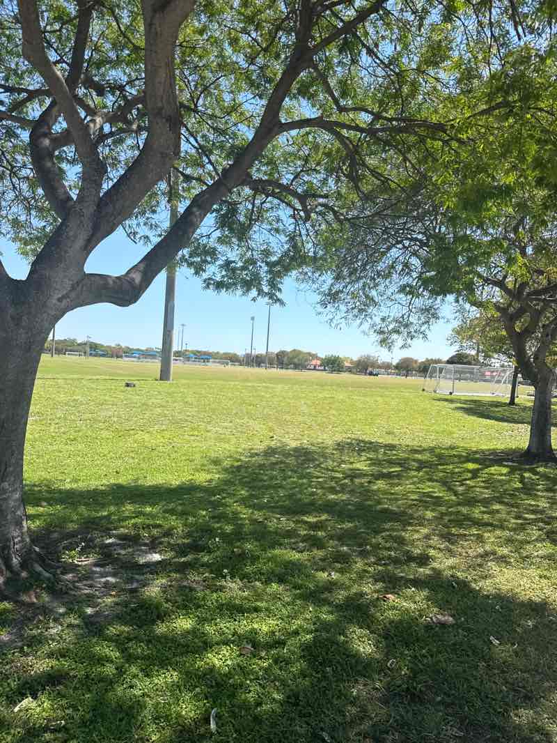 walking near me in Central Broward Regional Park in spring