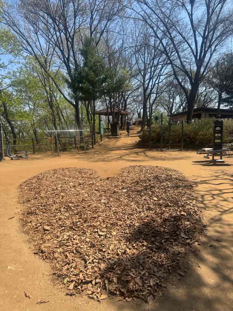 walking near me in 푸른수목원 in spring
