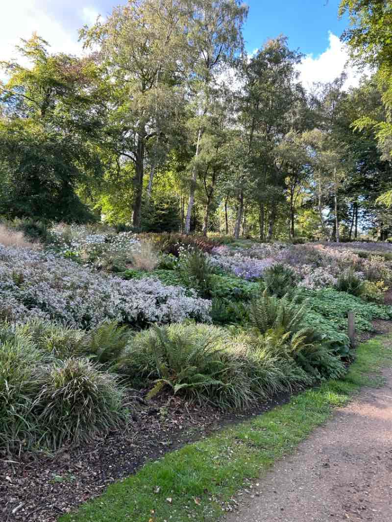 walking near me in Trentham Gardens in autumn