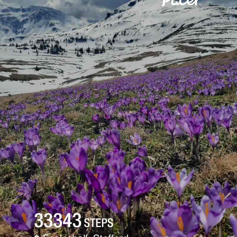 December Distance Challenge ♦️♣️♦️Caffiene Fiend ♍️♐️ 🇬🇧🇫🇷🇧🇷 💯 post image