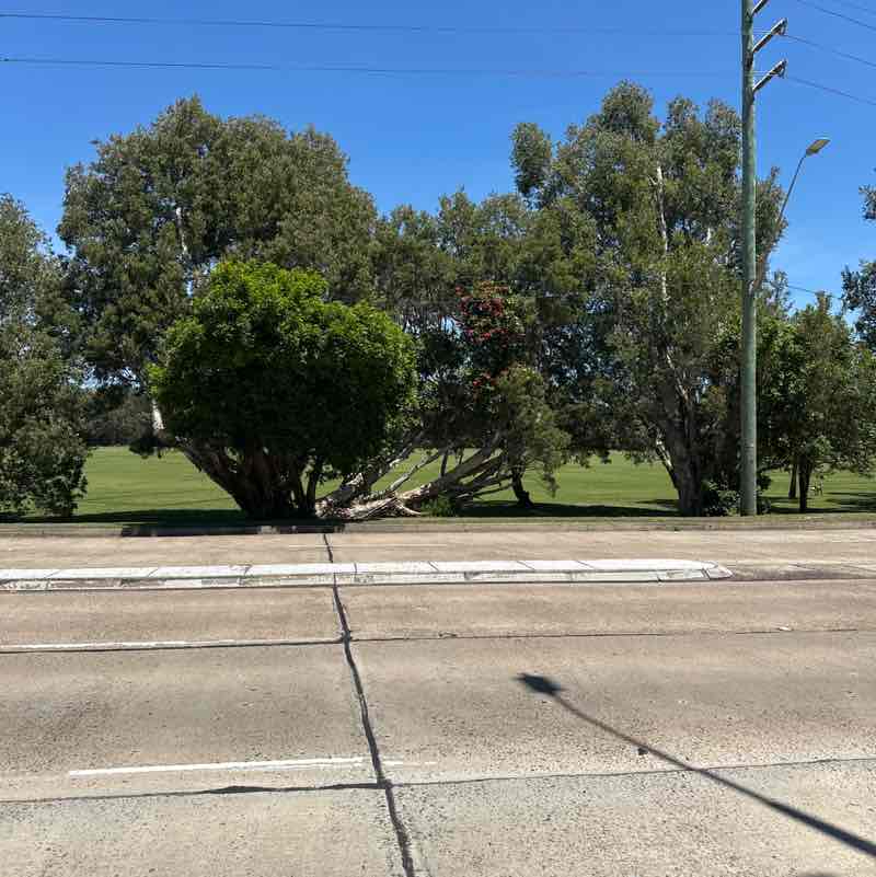 justpacingaround post 2