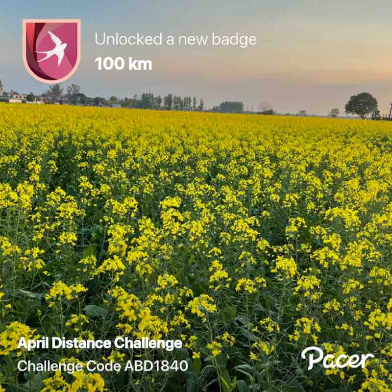 Pardeep Singh  post 1