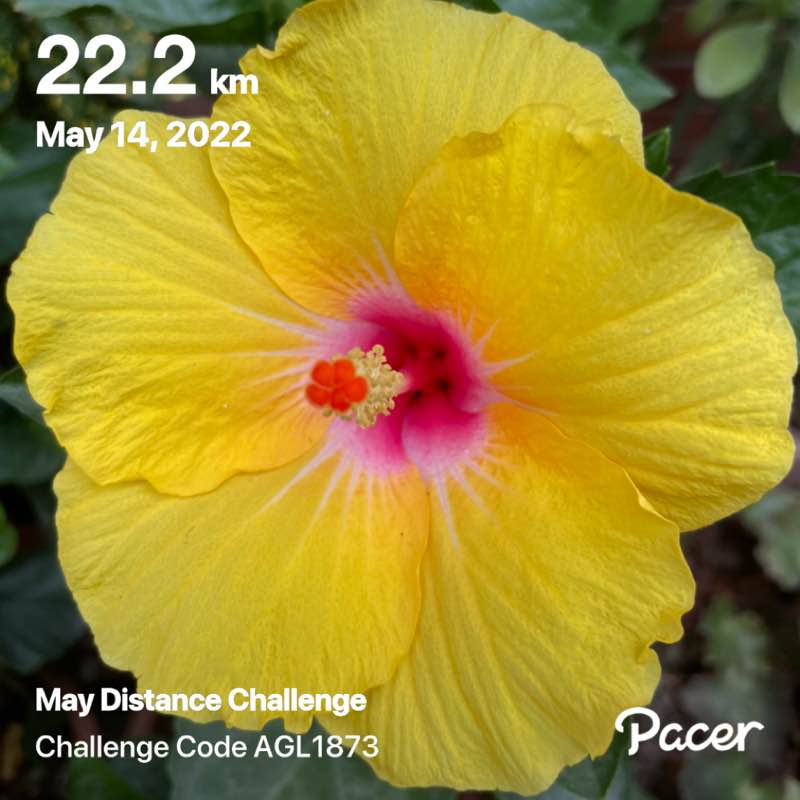 Pardeep Singh  post 1