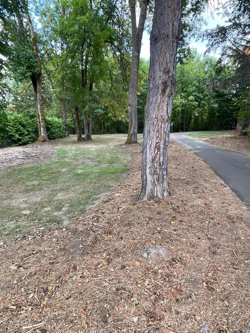 walking near me in Greenway Park in autumn