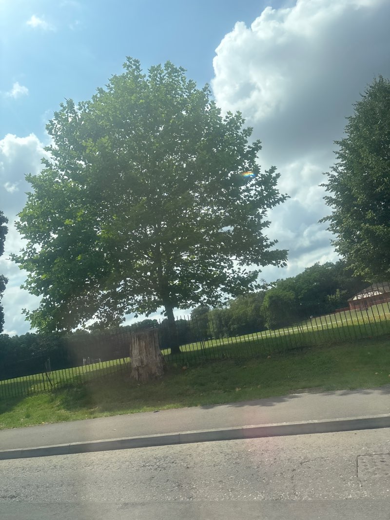 walking near me in King George V Playing Fields in autumn