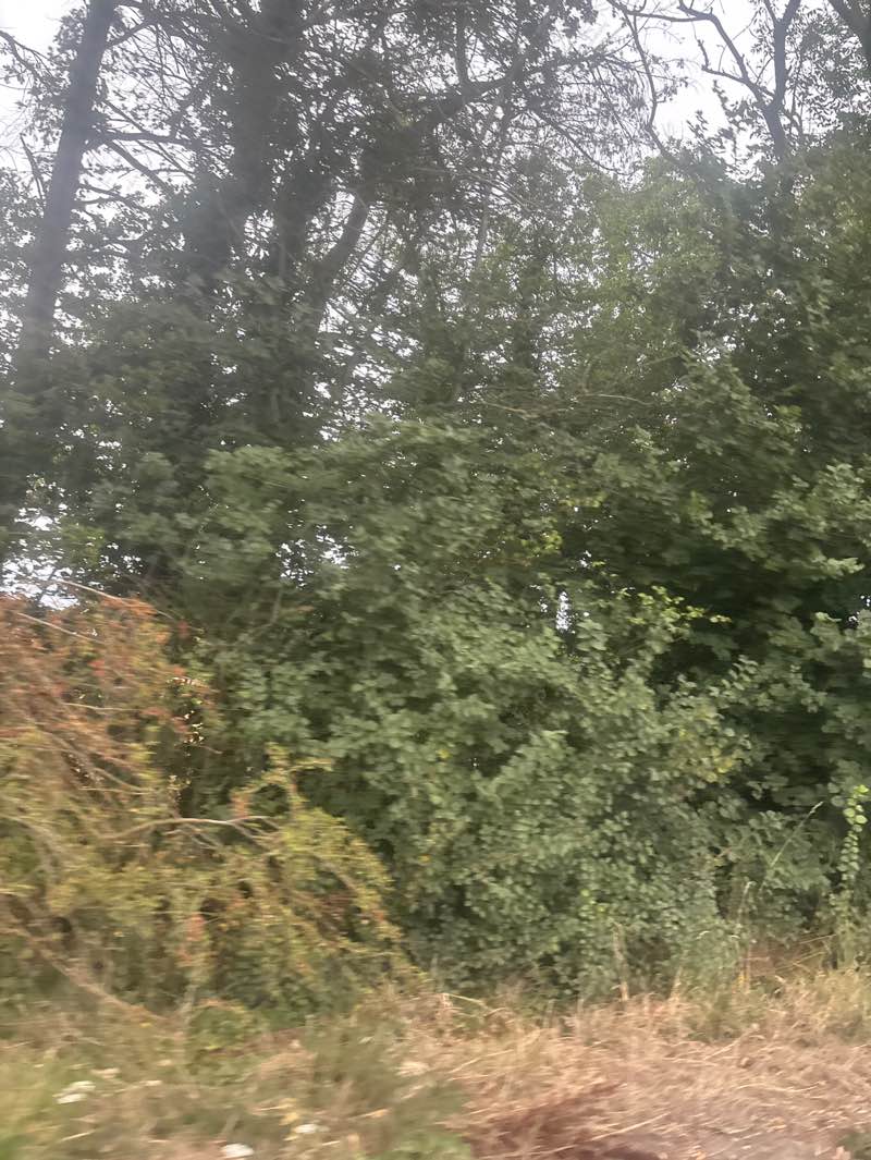 walking near me in Bassetts Mead Country Park in autumn