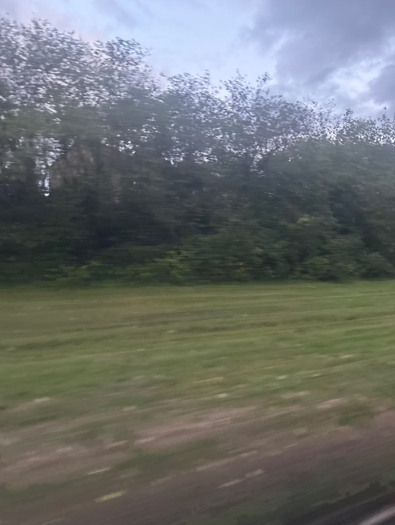 walking near me in Sandhurst Memorial Park in autumn