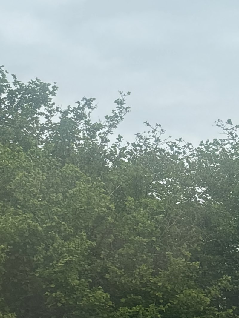 walking near me in Oak Common in summer