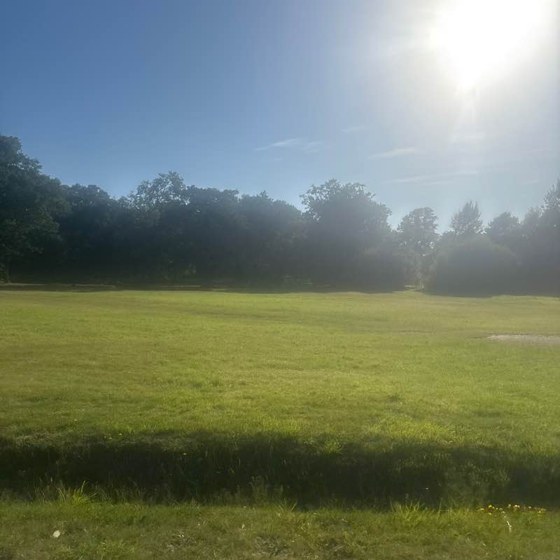 firefly post 1