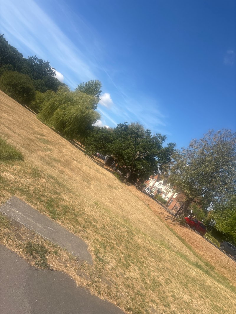 walking near me in Oak Common in summer