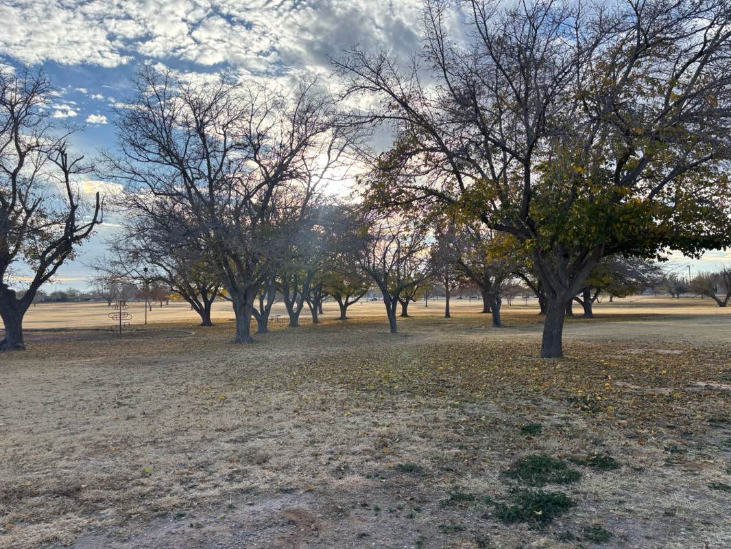 walking near me in Album Park in winter
