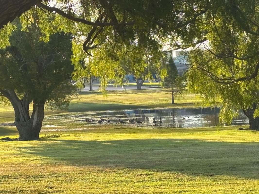 walking near me in Album Park in autumn